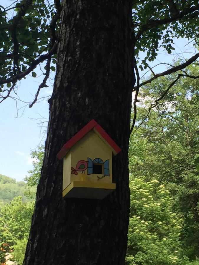 Eco Kutak Villa Mojkovac Buitenkant foto