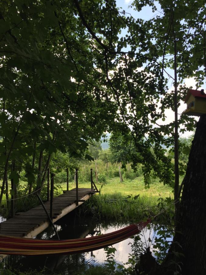 Eco Kutak Villa Mojkovac Buitenkant foto