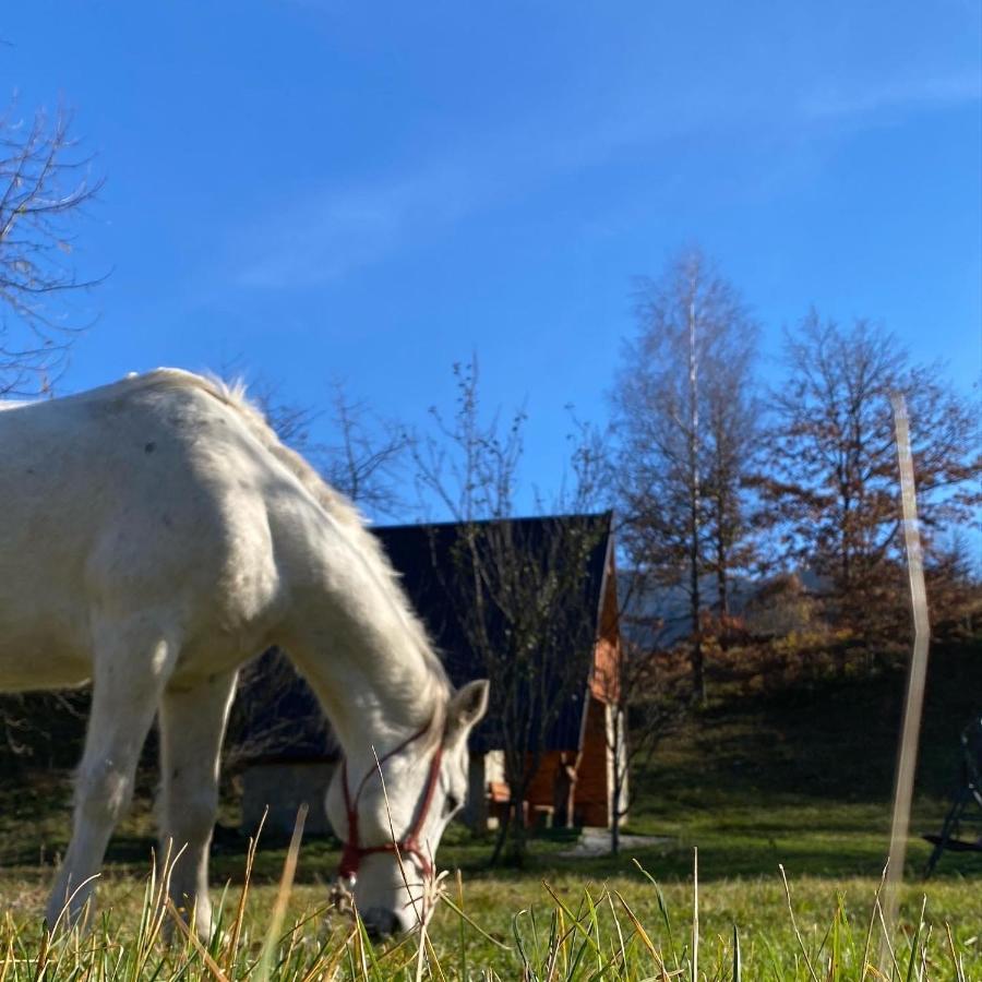 Eco Kutak Villa Mojkovac Buitenkant foto