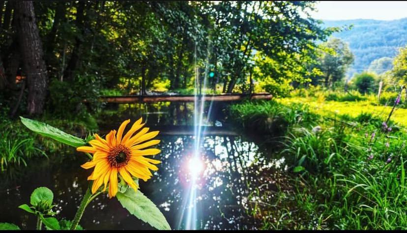 Eco Kutak Villa Mojkovac Buitenkant foto