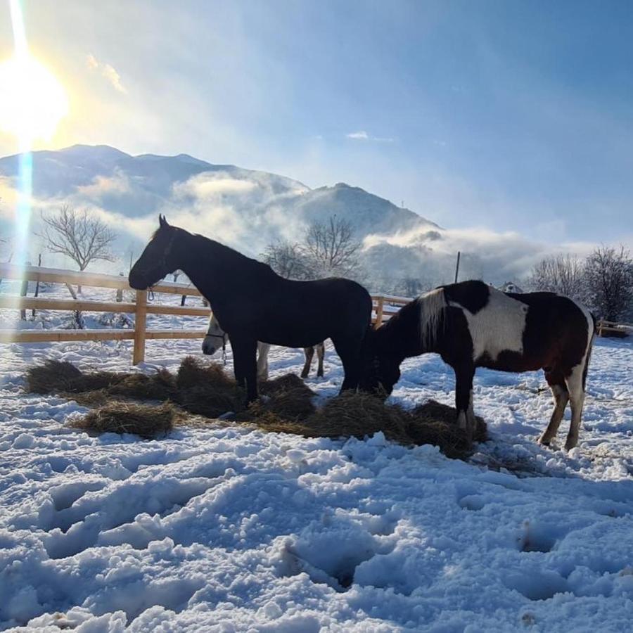 Eco Kutak Villa Mojkovac Buitenkant foto