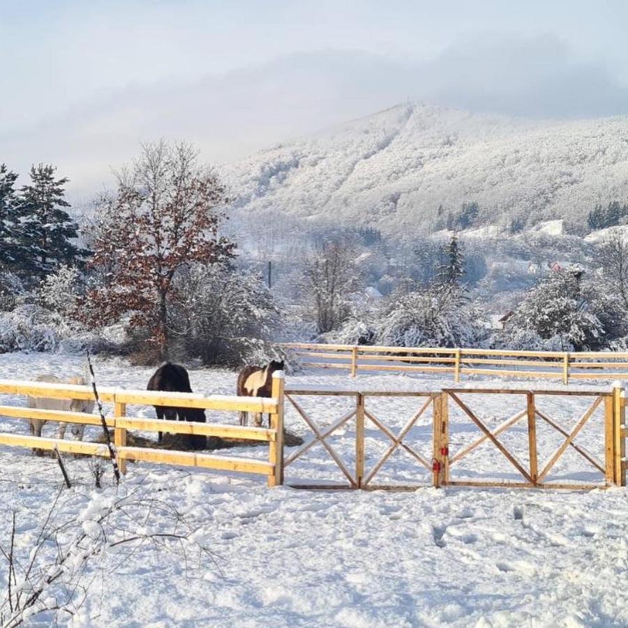 Eco Kutak Villa Mojkovac Buitenkant foto